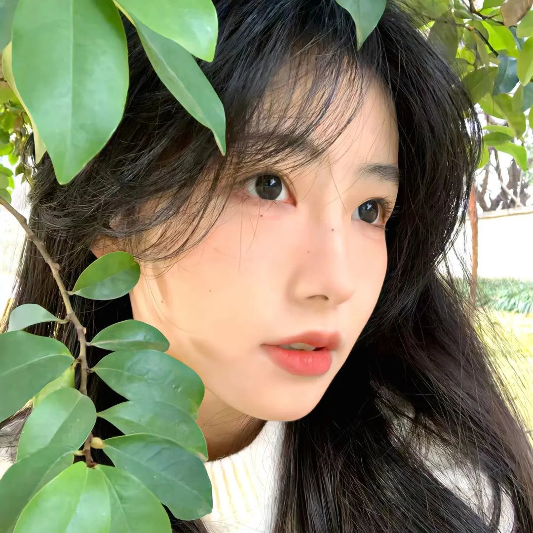 盲舞 在线观看