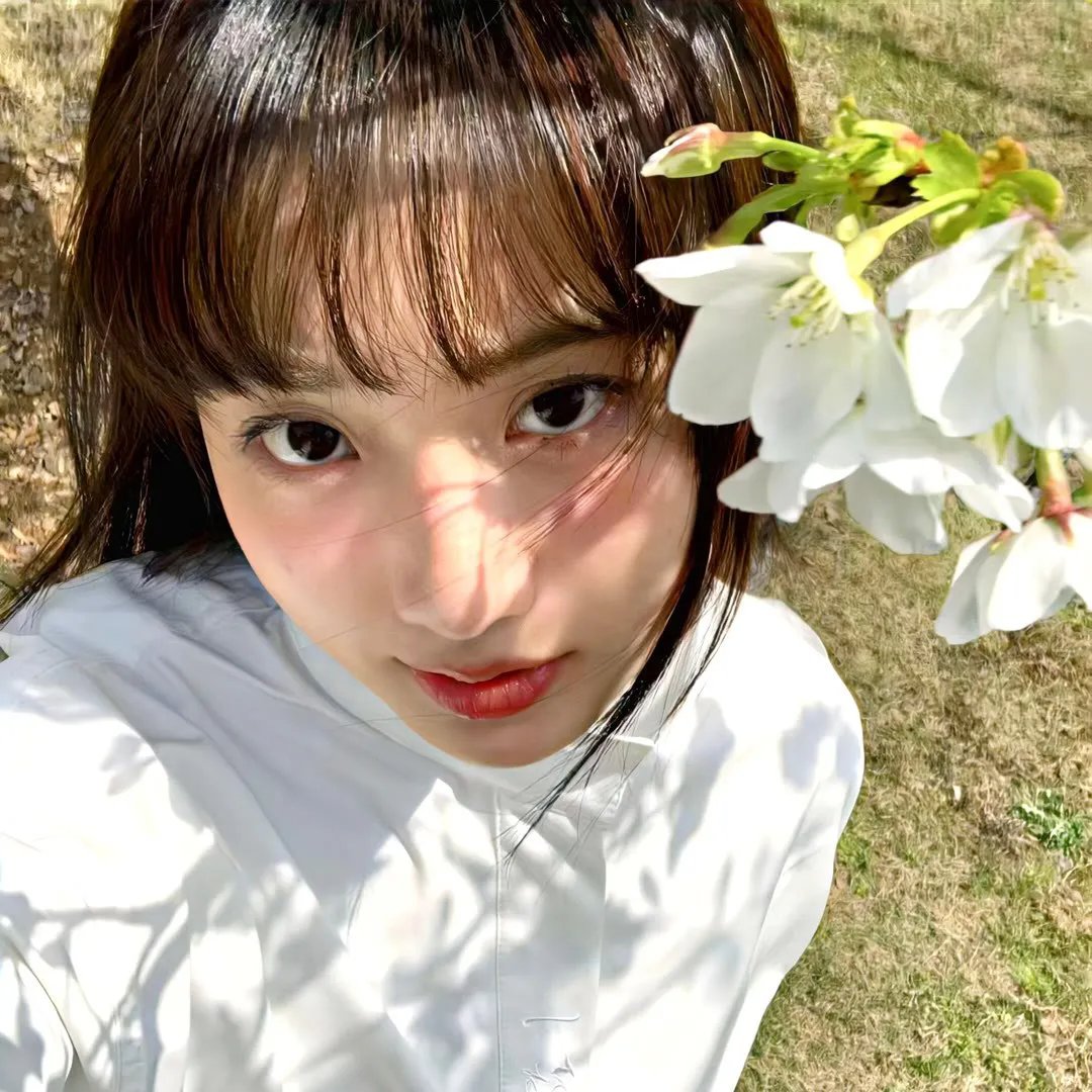 樱时 在线观看